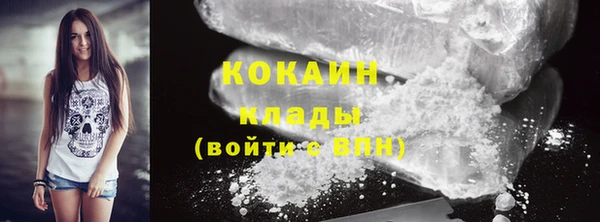индика Абаза