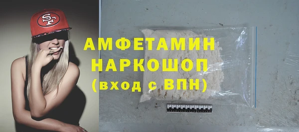 индика Абаза