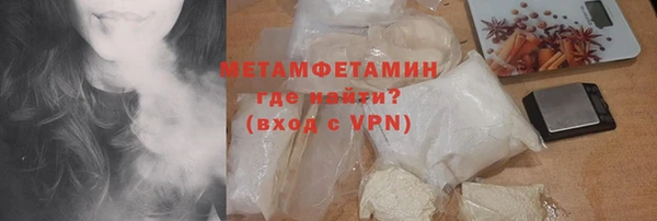 индика Абаза