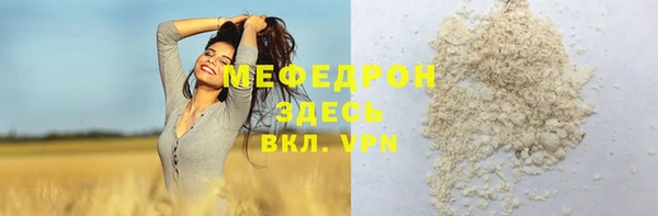 индика Абаза