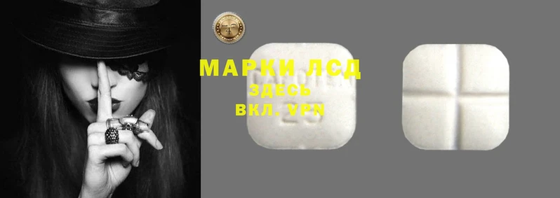 индика Абаза