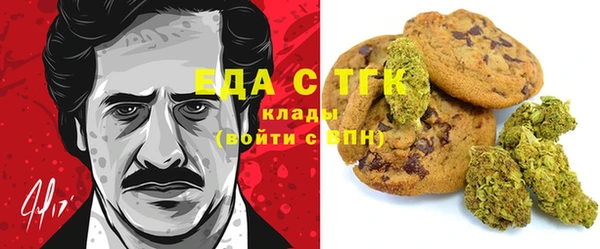 индика Абаза
