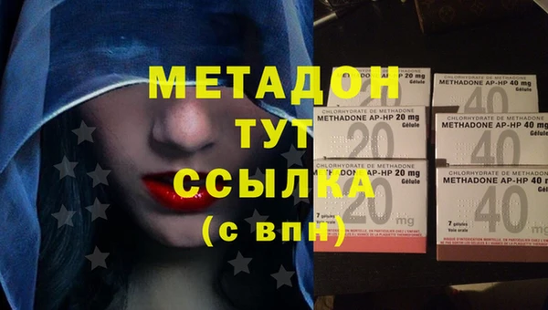 индика Абаза
