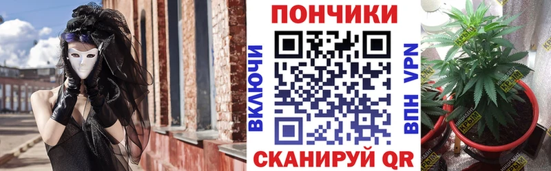 как найти закладки  Агрыз  Бошки Шишки ГИДРОПОН 